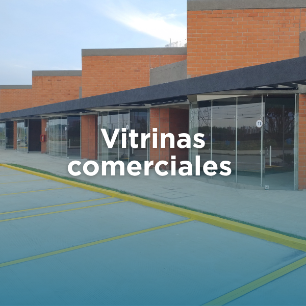 Proyectos institucionales